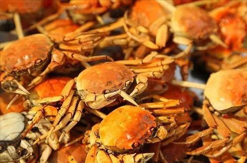 吃大闸蟹图片  第3张