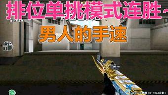 cf老杨个人资料,电竞传奇,荣耀背后的故事 第2张 cf老杨个人资料,电竞传奇,荣耀背后的故事 第2张