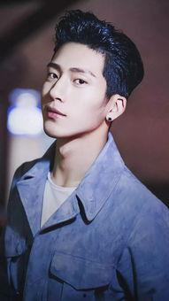 男明星的鸡图片,揭秘男明星的鸡形象魅力