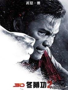 拳霸2演员表,众星云集，演绎热血江湖传奇  第2张