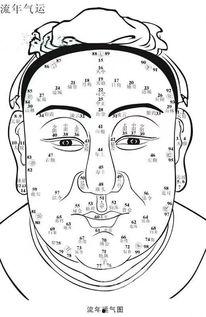 面部是八卦哪个方向,揭秘面相中的东方智慧